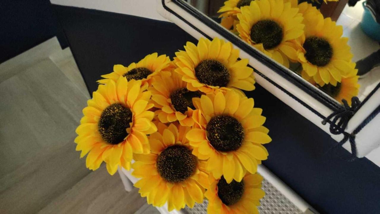 Il Girasole, Distante Solo 200 Mt. Reali Dal Mare Apartamento Lido Marini Exterior foto
